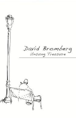 David Bromberg: Unsung Treasure