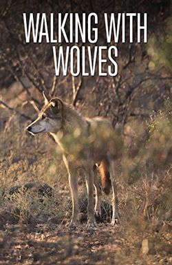 Walking with Wolves