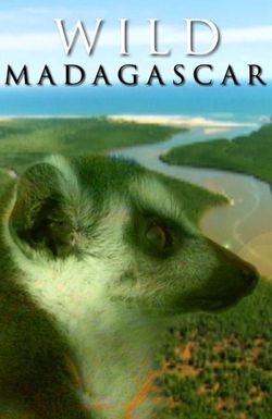 Wild Madagascar