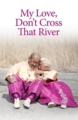 My Love, Don't Cross That River