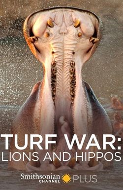 Turf War: Lions and Hippos