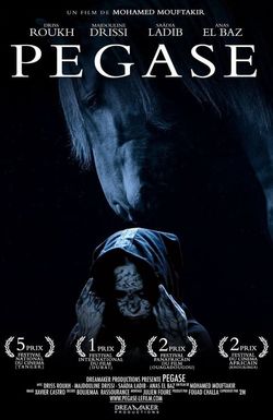 Pegasus