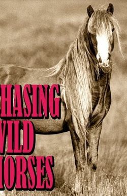 Chasing Wild Horses