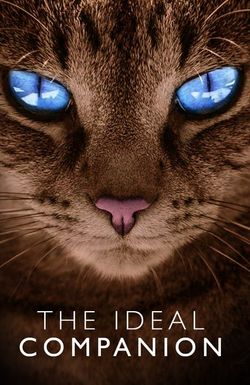 The Ideal Companion