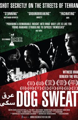 Dog Sweat