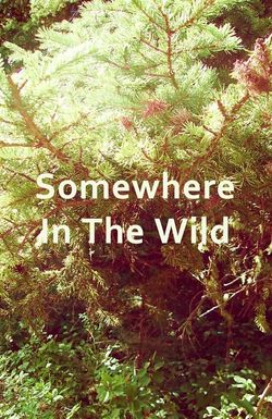 Somewhere in the Wild