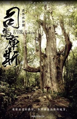 A Year in the Clouds