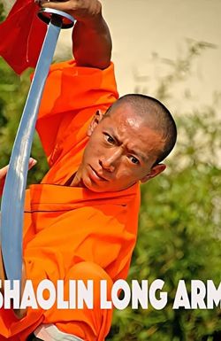 Shaolin Long Arm