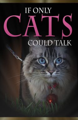 If Only Cats Could Talk