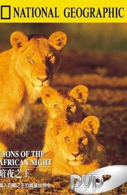 Lions of the African Night
