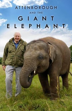 Attenborough and the Giant Elephant