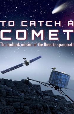 To Catch a Comet