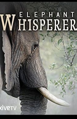 Elephant Whisperer