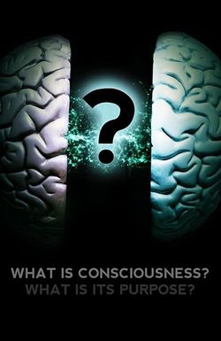What Is Consciousness? What Is Its Purpose?