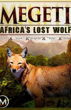 Africa's Lost Wolves