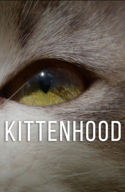 Kittenhood