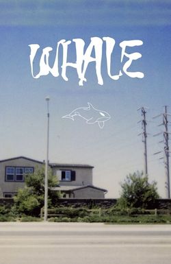 Whale
