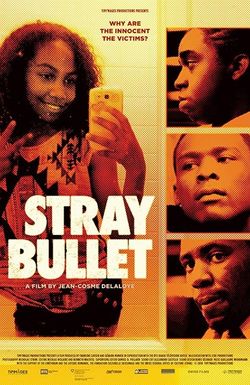 Stray Bullet