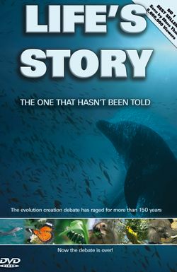 Life's Story