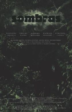 Destino das Sombras