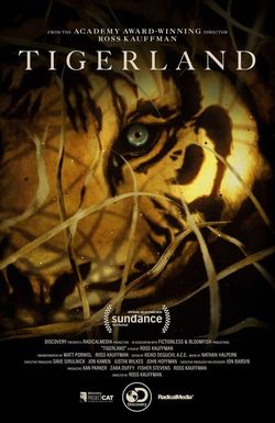 Tigerland