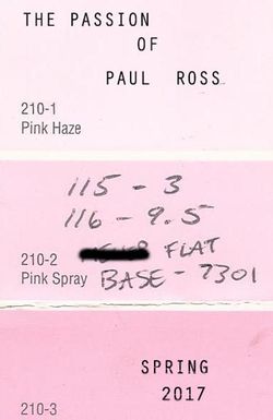 The Passion of Paul Ross