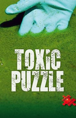 Toxic Puzzle