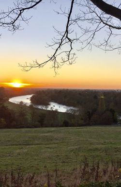 In Search of Arcadia