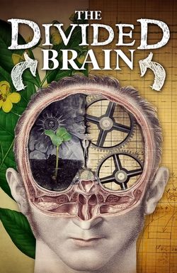 The Divided Brain