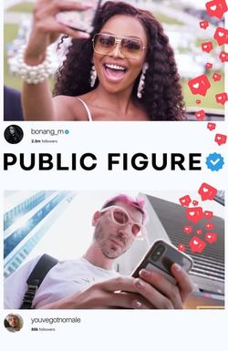 Public Figure