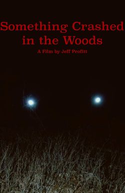 Something Crashed in the Woods