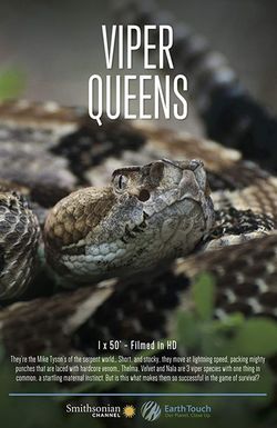 Viper Queens