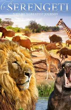 Serengeti: Nature's Greatest Journey