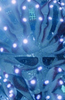 The Fortune You Seek Is in Another Cookie