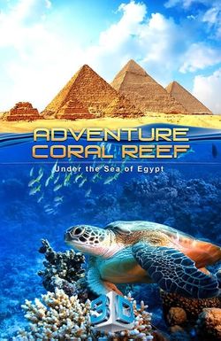 Adventure Coral Reef 3D Under the Sea of Egypt