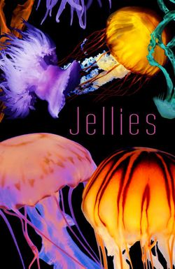 Jellies