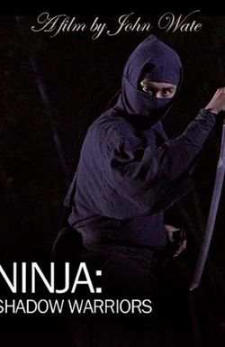 Ninja Shadow Warriors