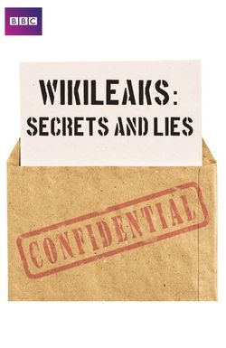 True Stories: Wikileaks - Secrets and Lies