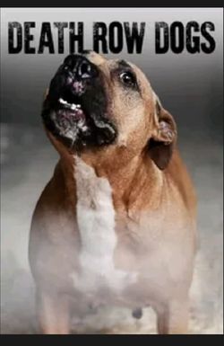 Death Row Dogs