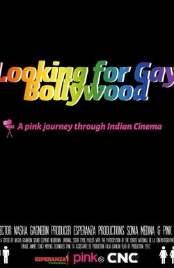 Looking for Gay Bollywood