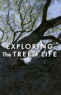 Exploring 'the Tree of Life'