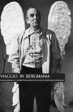 Viaggio in Bergmania