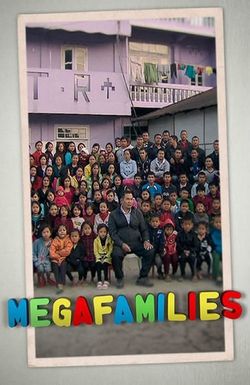 Megafamilies