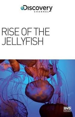 Rise of the Jellyfish