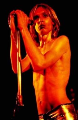 Search and Destroy: Iggy & The Stooges' Raw Power