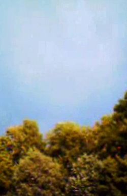 Because We Are Visual