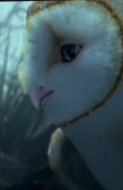 True Guardians of the Earth