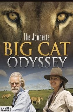 Big Cat Odyssey