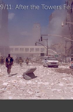 9/11: After the Towers Fell