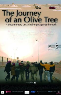 The Journey of an Olive Tree